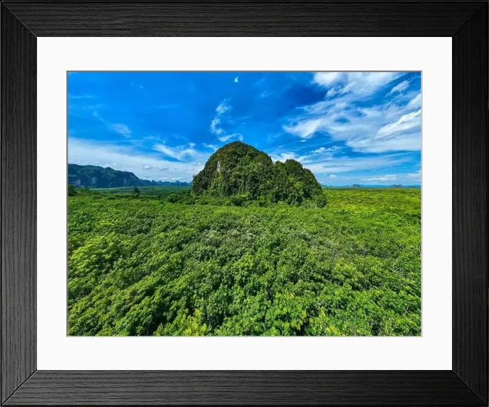 Framed Print : Aerial view Drone camera rainforest trees ecology with healthy environment concept and summer background Framed Print : Aerial view Drone camera rainforest trees ecology with healthy environment concept and summer background