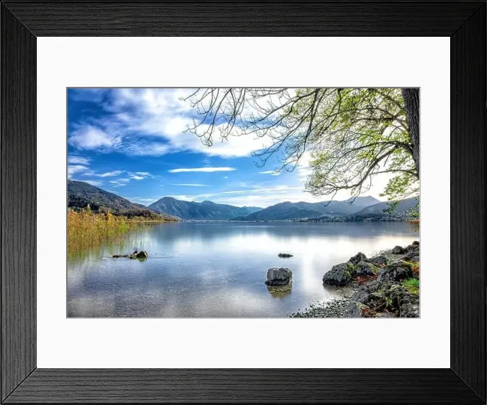 Framed Print : Reeds on the shore of Tegernsee on a sunny spring morning with autumn leaves and trees, Gmund am See, Bavaria, Germany Framed Print : Reeds on the shore of Tegernsee on a sunny spring morning with autumn leaves and trees, Gmund am See, Bavaria, Germany