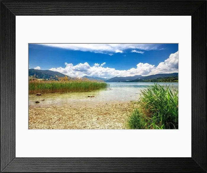 Framed Print : Reeds on the shore of Tegernsee on a sunny spring morning with autumn leaves and trees, Gmund am See, Bavaria, Germany Framed Print : Reeds on the shore of Tegernsee on a sunny spring morning with autumn leaves and trees, Gmund am See, Bavaria, Germany