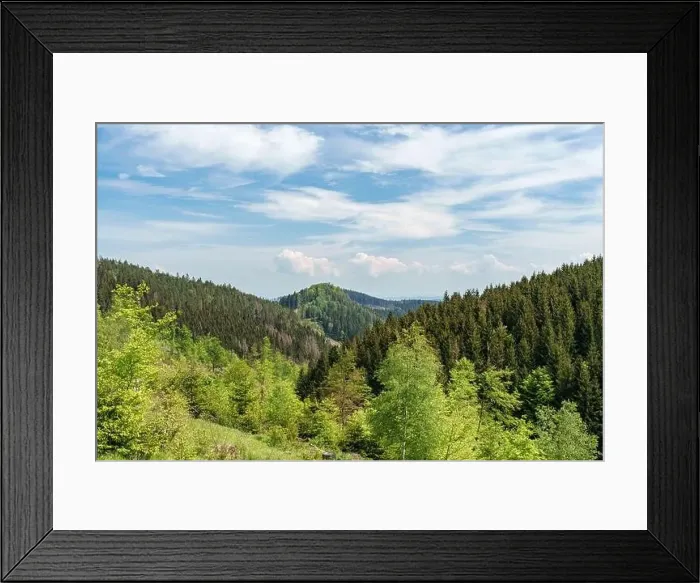 Framed Print : A picturesque natural landscape with lush evergreen trees Framed Print : A picturesque natural landscape with lush evergreen trees