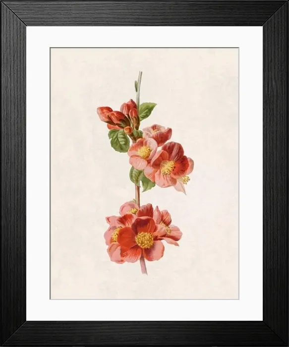 Framed Print : Beautiful blooming flowers illustration. Digital watercolor with vintage inspiration on a grunge beige background Framed Print : Beautiful blooming flowers illustration. Digital watercolor with vintage inspiration on a grunge beige background