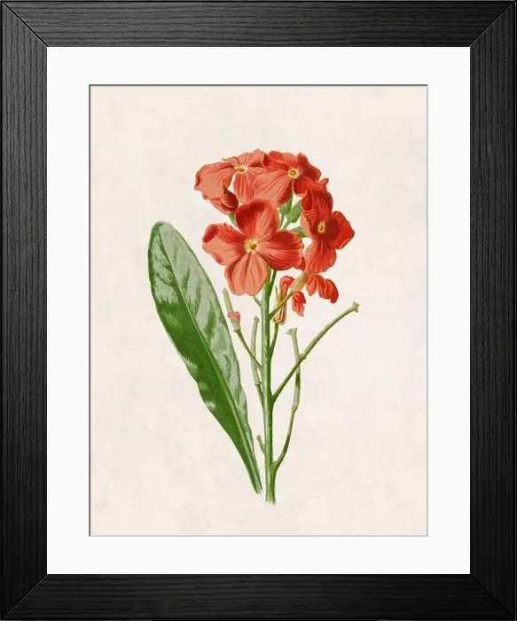 Framed Print : Beautiful blooming flowers illustration. Digital watercolor with vintage inspiration on a grunge beige background Framed Print : Beautiful blooming flowers illustration. Digital watercolor with vintage inspiration on a grunge beige background