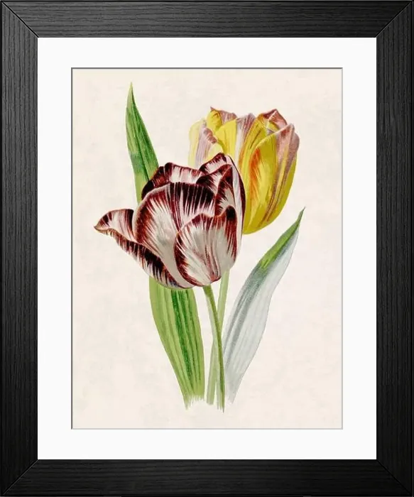 Framed Print : Beautiful blooming flowers illustration. Digital watercolor with vintage inspiration on a grunge beige background Framed Print : Beautiful blooming flowers illustration. Digital watercolor with vintage inspiration on a grunge beige background