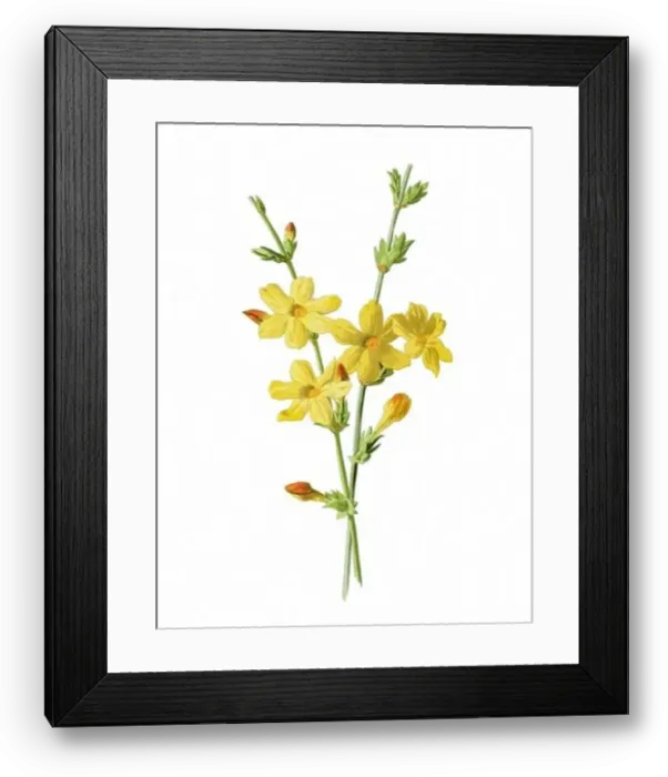 Framed Print : Beautiful blooming flowers illustration. Digital watercolor with vintage inspiration on a white background