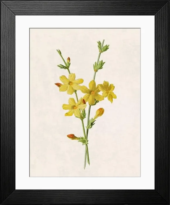Framed Print : Beautiful blooming flowers illustration. Digital watercolor with vintage inspiration on a grunge beige background Framed Print : Beautiful blooming flowers illustration. Digital watercolor with vintage inspiration on a grunge beige background
