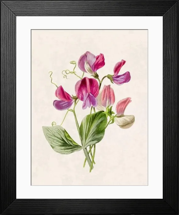 Framed Print : Beautiful blooming flowers illustration. Digital watercolor with vintage inspiration on a grunge beige background Framed Print : Beautiful blooming flowers illustration. Digital watercolor with vintage inspiration on a grunge beige background