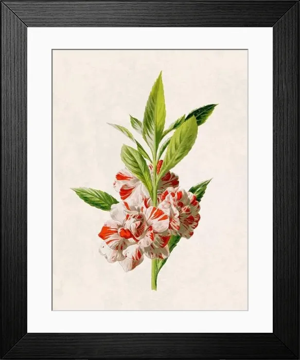 Framed Print : Beautiful blooming flowers illustration. Digital watercolor with vintage inspiration on a grunge beige background Framed Print : Beautiful blooming flowers illustration. Digital watercolor with vintage inspiration on a grunge beige background