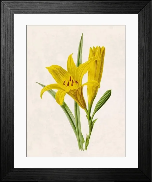 Framed Print : Beautiful blooming flowers illustration. Digital watercolor with vintage inspiration on a grunge beige background Framed Print : Beautiful blooming flowers illustration. Digital watercolor with vintage inspiration on a grunge beige background
