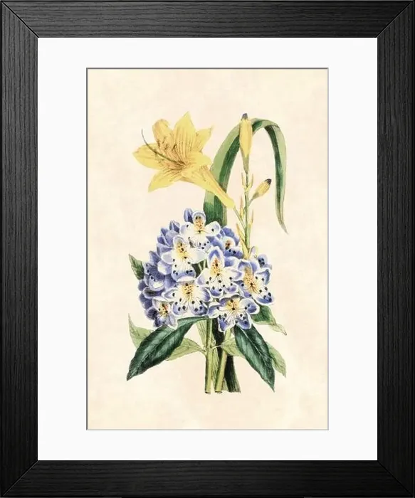 Framed Print : Rustic flower illustration. Floral art on beige background. Vintage-Style art Framed Print : Rustic flower illustration. Floral art on beige background. Vintage-Style art