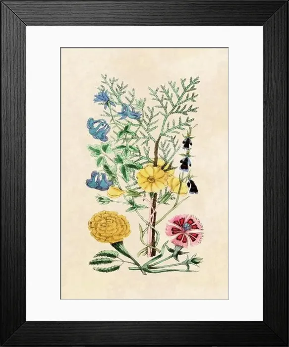 Framed Print : Rustic flower illustration. Floral art on beige background. Vintage-Style art Framed Print : Rustic flower illustration. Floral art on beige background. Vintage-Style art