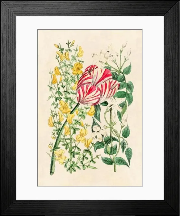 Framed Print : Rustic flower illustration. Floral art on beige background. Vintage-Style art Framed Print : Rustic flower illustration. Floral art on beige background. Vintage-Style art