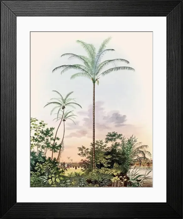 Framed Print : Beautiful Palm Landscape: Botanical palm tree illustration in their natural habitat Framed Print : Beautiful Palm Landscape: Botanical palm tree illustration in their natural habitat