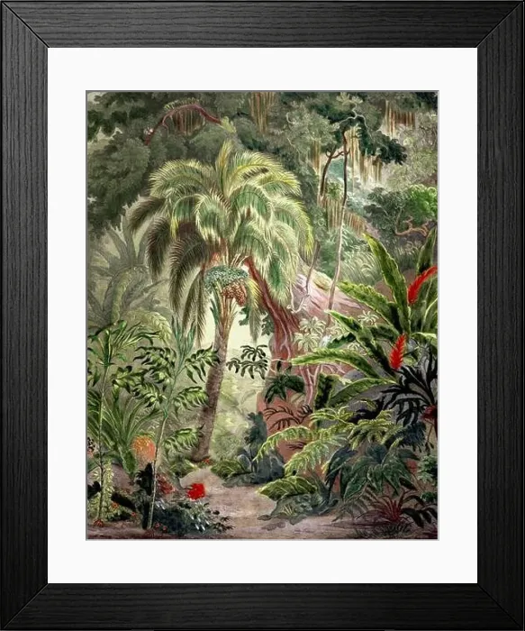 Framed Print : Botanical Illustration of a Colorful Jungle Scene. Rainforest Framed Print : Botanical Illustration of a Colorful Jungle Scene. Rainforest
