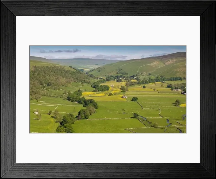 Framed Print : A serene view showcasing vibrant buttercup fields nestled within the rolling hills of the Yorkshire Dales Framed Print : A serene view showcasing vibrant buttercup fields nestled within the rolling hills of the Yorkshire Dales