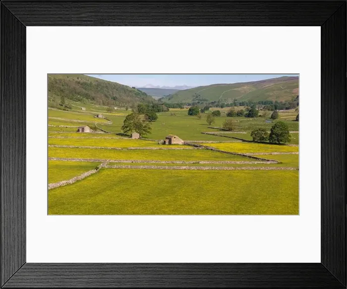 Framed Print : The Yorkshire Dales captured in all its glory with meadows of buttercup flowers and stone wall partitions Framed Print : The Yorkshire Dales captured in all its glory with meadows of buttercup flowers and stone wall partitions