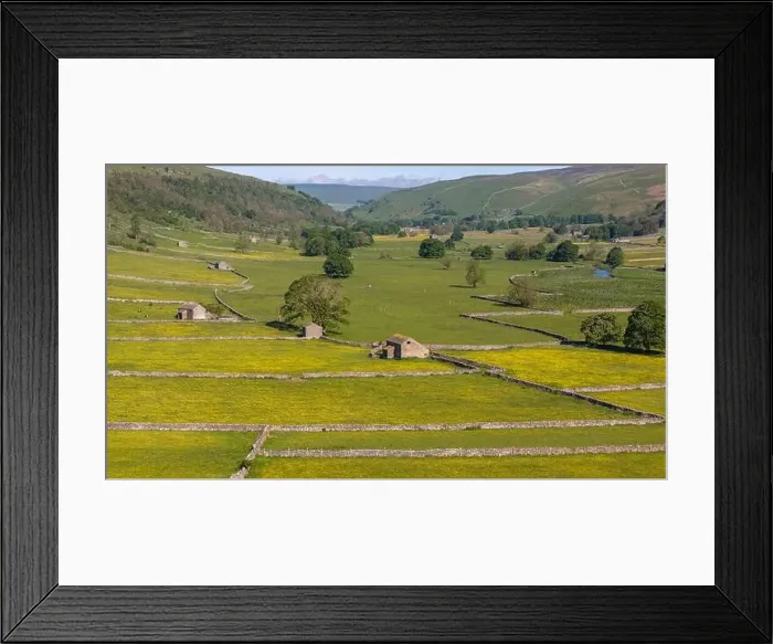 Framed Print : A drone's eye view shows the expanse of the buttercup dotted meadows dissected by stone walls in the vibrant Yorkshire Framed Print : A drone's eye view shows the expanse of the buttercup dotted meadows dissected by stone walls in the vibrant Yorkshire