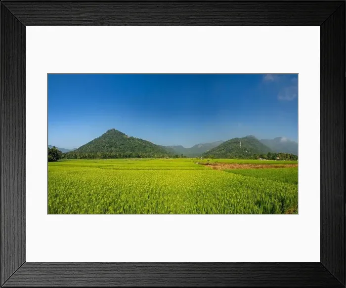 Framed Print : Sri Lanka, Ceylon Island : Local landscape with rice field natural panorama Framed Print : Sri Lanka, Ceylon Island : Local landscape with rice field natural panorama