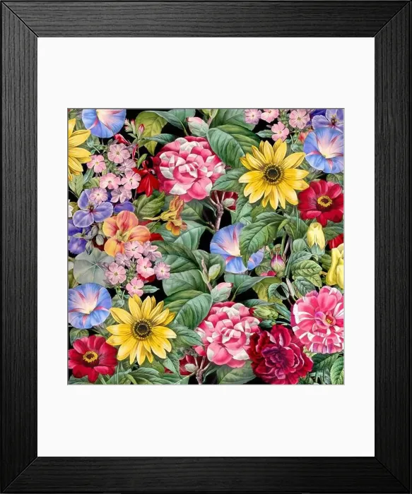 Framed Print : Colorful Blooming Flowers. Floral Design Framed Print : Colorful Blooming Flowers. Floral Design