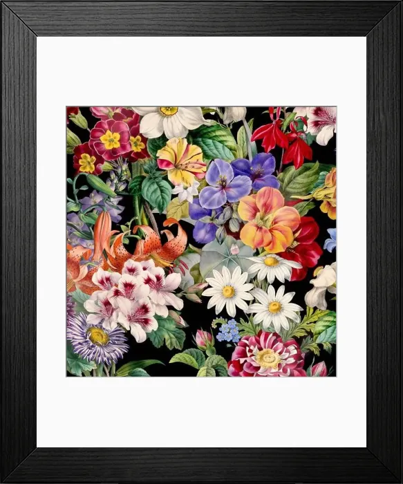 Framed Print : Colorful Blooming Flowers. Floral Design Framed Print : Colorful Blooming Flowers. Floral Design