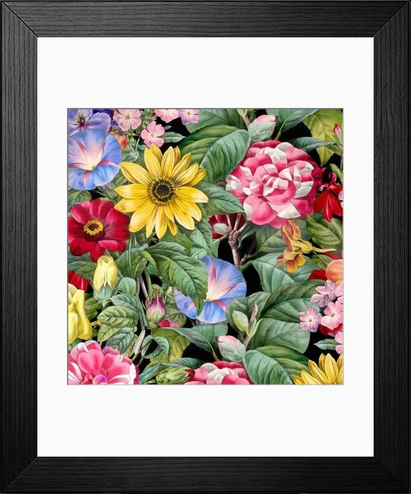 Framed Print : Colorful Blooming Flowers. Floral Design Framed Print : Colorful Blooming Flowers. Floral Design