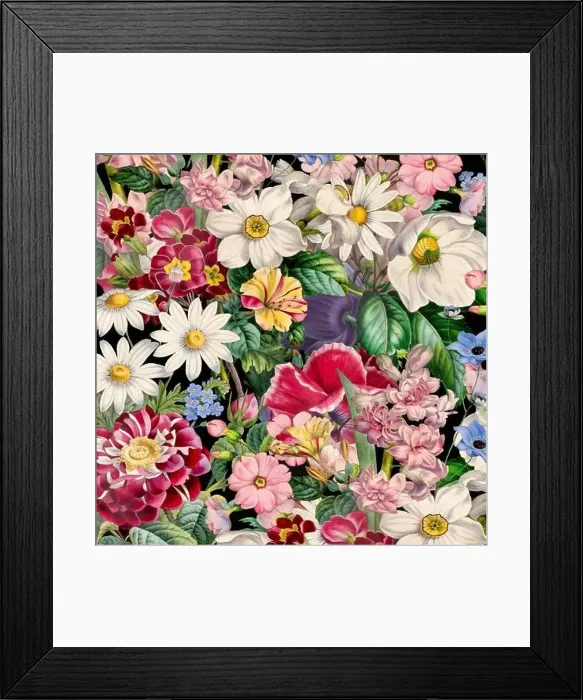 Framed Print : Colorful Blooming Flowers. Floral Design Framed Print : Colorful Blooming Flowers. Floral Design