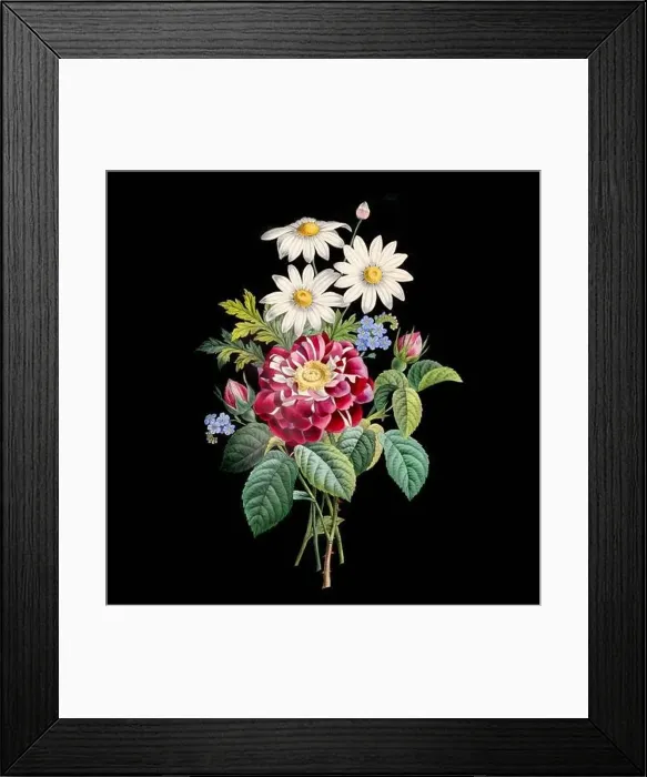 Framed Print : Colorful Blooming Flowers. A bouquet of flowers with lively colors on a black background. Ideal for a square format Framed Print : Colorful Blooming Flowers. A bouquet of flowers with lively colors on a black background. Ideal for a square format