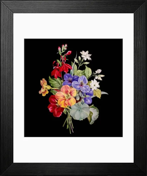 Framed Print : Colorful Blooming Flowers. A bouquet of flowers with lively colors on a black background. Ideal for a square format Framed Print : Colorful Blooming Flowers. A bouquet of flowers with lively colors on a black background. Ideal for a square format