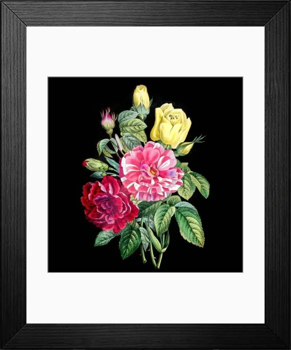 Framed Print : Colorful Blooming Flowers. A bouquet of flowers with lively colors on a black background. Ideal for a square format Framed Print : Colorful Blooming Flowers. A bouquet of flowers with lively colors on a black background. Ideal for a square format