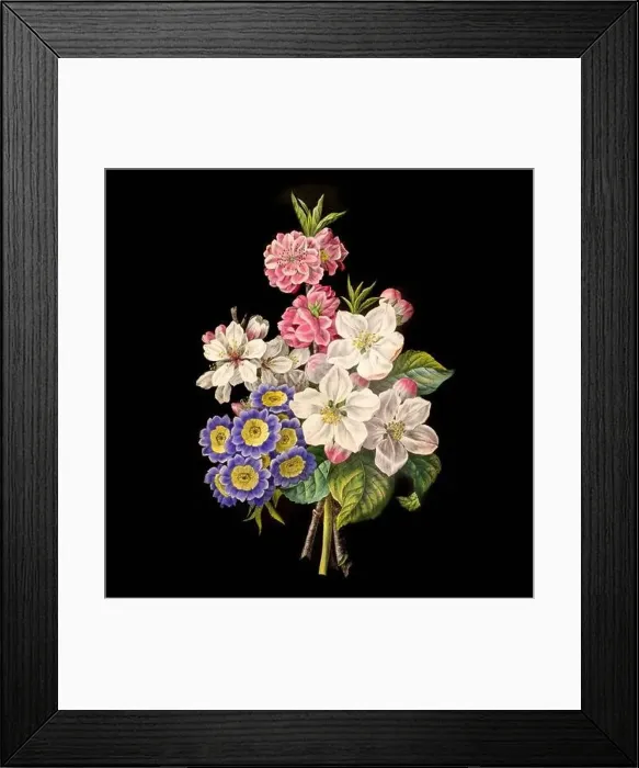 Framed Print : Colorful Blooming Flowers. A bouquet of flowers with lively colors on a black background. Ideal for a square format Framed Print : Colorful Blooming Flowers. A bouquet of flowers with lively colors on a black background. Ideal for a square format