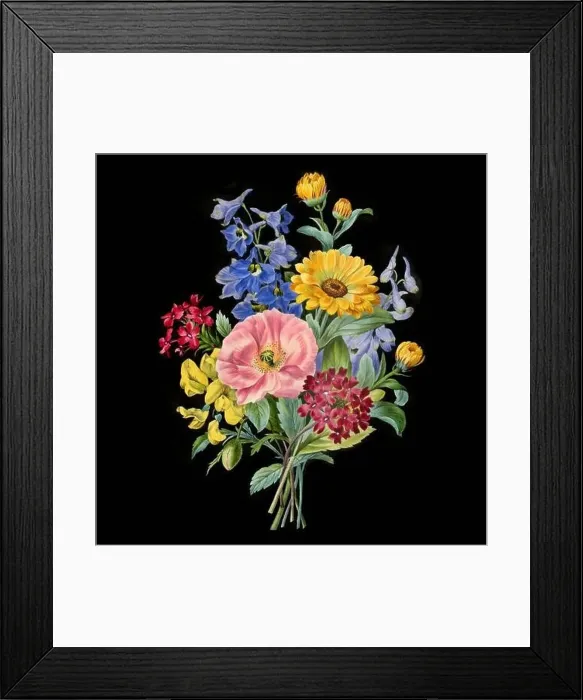 Framed Print : Colorful Blooming Flowers. A bouquet of flowers with lively colors on a black background. Ideal for a square format Framed Print : Colorful Blooming Flowers. A bouquet of flowers with lively colors on a black background. Ideal for a square format