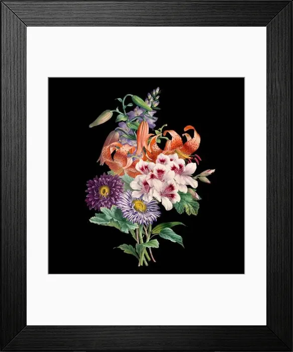 Framed Print : Colorful Blooming Flowers. A bouquet of flowers with lively colors on a black background. Ideal for a square format Framed Print : Colorful Blooming Flowers. A bouquet of flowers with lively colors on a black background. Ideal for a square format