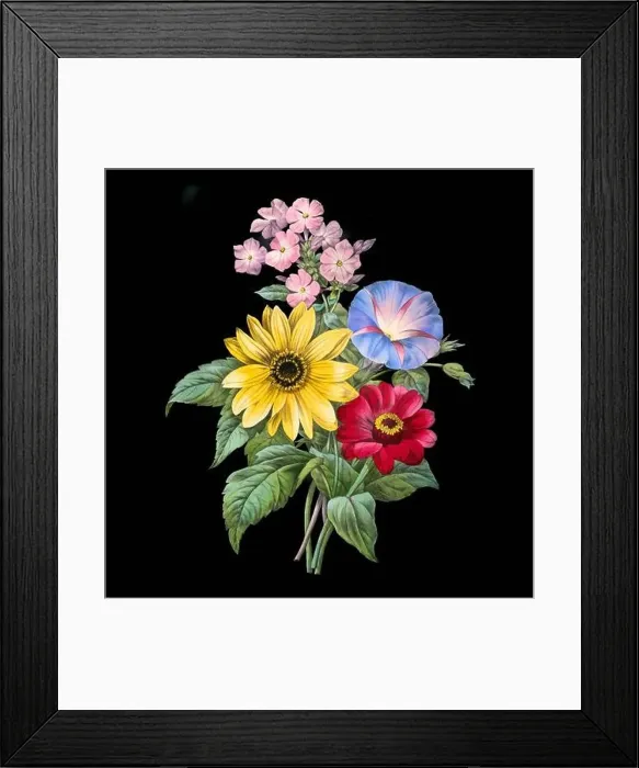 Framed Print : Colorful Blooming Flowers. A bouquet of flowers with lively colors on a black background. Ideal for a square format Framed Print : Colorful Blooming Flowers. A bouquet of flowers with lively colors on a black background. Ideal for a square format