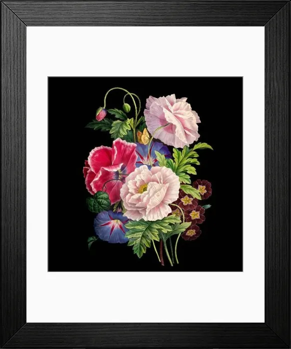 Framed Print : Colorful Blooming Flowers. A bouquet of flowers with lively colors on a black background. Ideal for a square format Framed Print : Colorful Blooming Flowers. A bouquet of flowers with lively colors on a black background. Ideal for a square format
