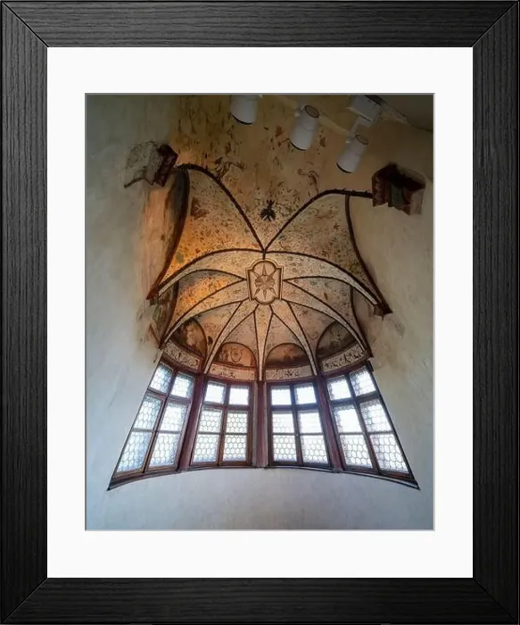Framed Print : 05.25.24. Sarospatak, Hungary. Castle of Sarospatak Framed Print : 05.25.24. Sarospatak, Hungary. Castle of Sarospatak