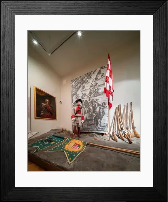 Framed Print : 05.25.24. Sarospatak, Hungary. Castle of Sarospatak Framed Print : 05.25.24. Sarospatak, Hungary. Castle of Sarospatak