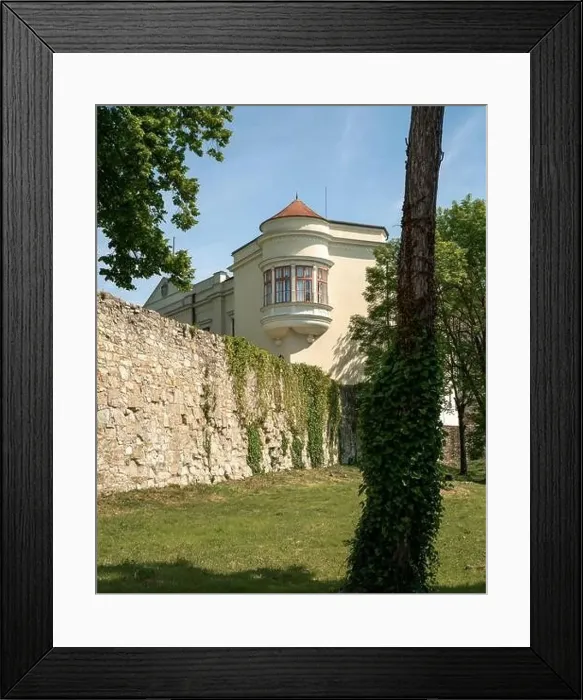 Framed Print : 05.25.24. Sarospatak, Hungary. Castle of Sarospatak Framed Print : 05.25.24. Sarospatak, Hungary. Castle of Sarospatak