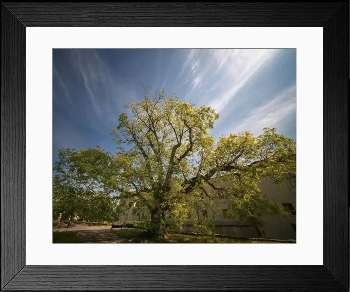 Framed Print : 05.25.24. Sarospatak, Hungary. Castle of Sarospatak Framed Print : 05.25.24. Sarospatak, Hungary. Castle of Sarospatak