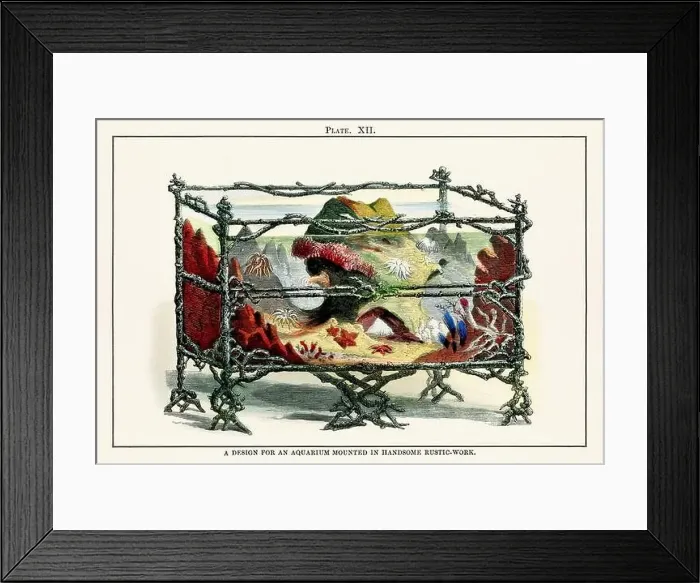 Framed Print : Vintage aquarium illustration from a 19th-century book on marine aquariums, their establishment, and preservation Framed Print : Vintage aquarium illustration from a 19th-century book on marine aquariums, their establishment, and preservation