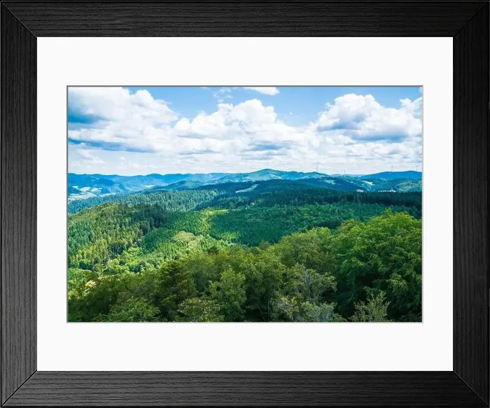 Framed Print : Germany, Aerial panorama nature landscape view above schwarzwald tree tops Framed Print : Germany, Aerial panorama nature landscape view above schwarzwald tree tops