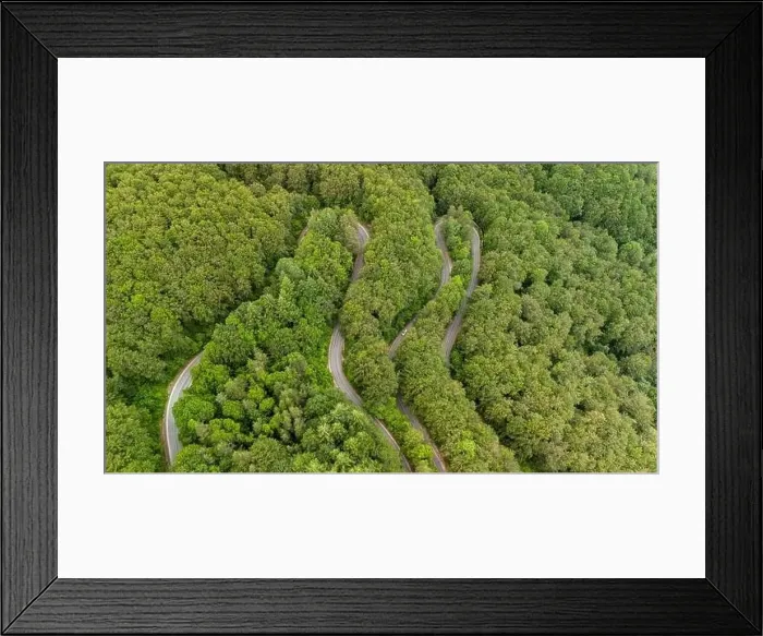 Framed Print : Aerial view of a winding road passing through a lush green forest Framed Print : Aerial view of a winding road passing through a lush green forest
