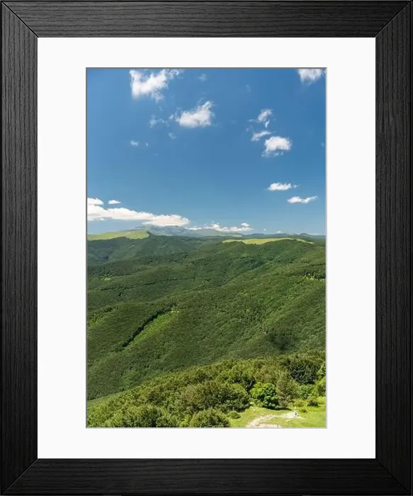 Framed Print : Beautiful summer landscape of a vast forest covering rolling hills under a blue sky with clouds Framed Print : Beautiful summer landscape of a vast forest covering rolling hills under a blue sky with clouds