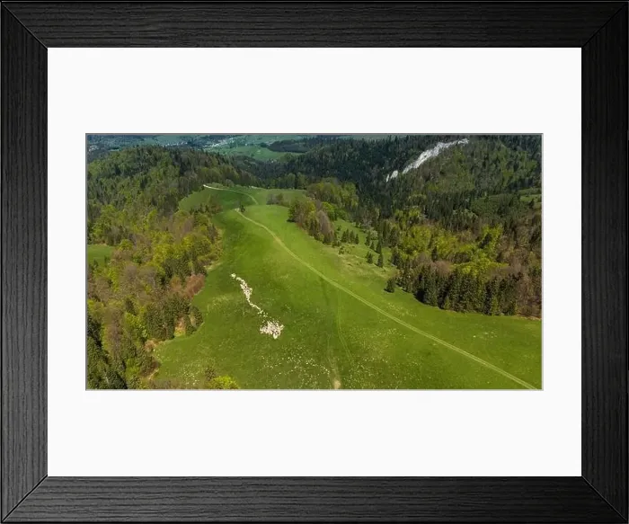 Framed Print : Traditional sheep pasture on meadow in Pieniny Mountains in Poland. Aerial drone view Framed Print : Traditional sheep pasture on meadow in Pieniny Mountains in Poland. Aerial drone view