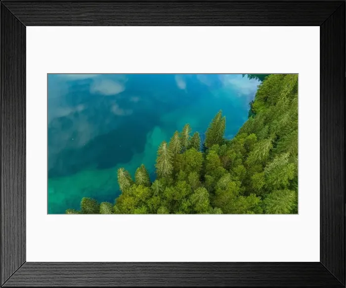 Framed Print : Serenity from Above: Pine Trees by Turquoise Lake Framed Print : Serenity from Above: Pine Trees by Turquoise Lake