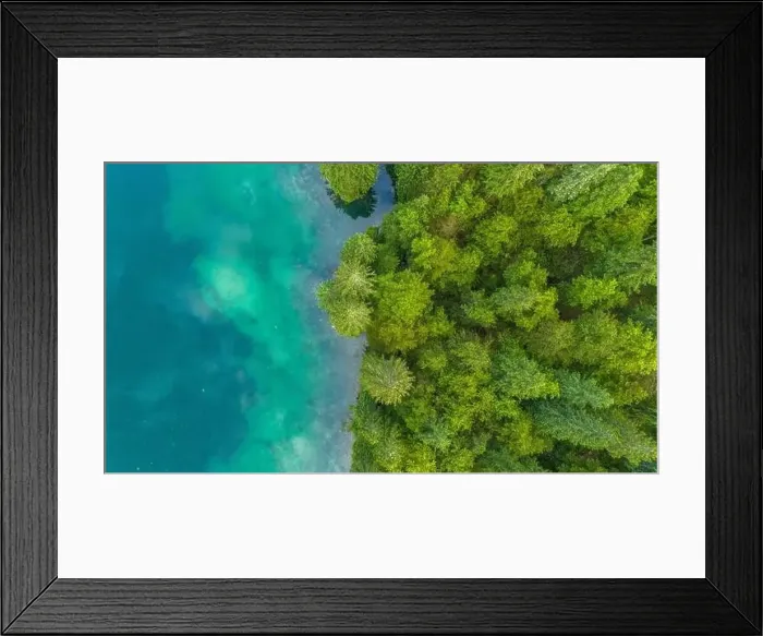 Framed Print : Turquoise Tranquility: Aerial View of Pine Trees Framed Print : Turquoise Tranquility: Aerial View of Pine Trees