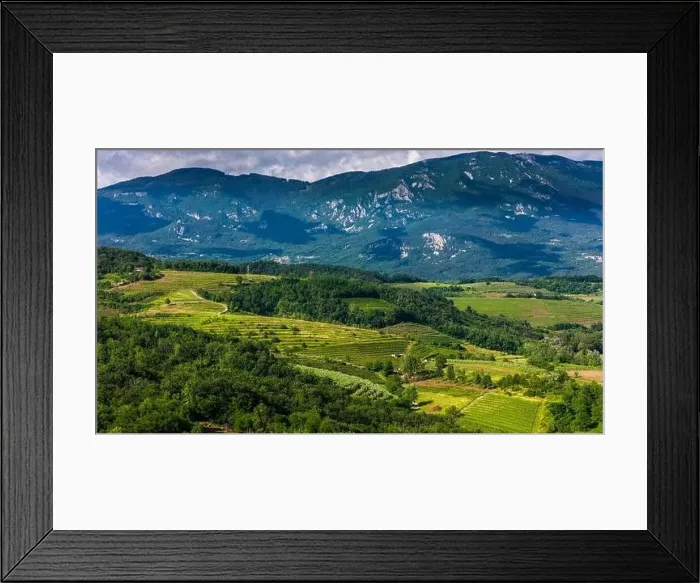 Framed Print : Aerial Panorama of Green Vineyards and Hills in Vipava Valley, Slovenia Framed Print : Aerial Panorama of Green Vineyards and Hills in Vipava Valley, Slovenia