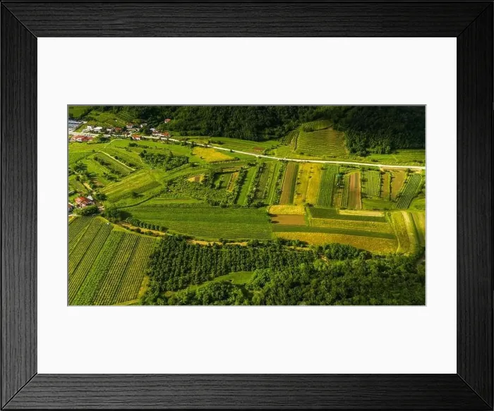 Framed Print : Beautiful Aerial View of Vipava Valley's Rolling Hills and Vineyards Framed Print : Beautiful Aerial View of Vipava Valley's Rolling Hills and Vineyards