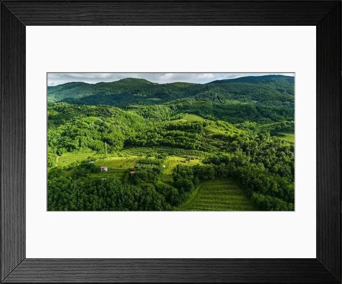 Framed Print : Captivating Drone Shot of Summer Vineyards in Vipava Valley, Slovenia Framed Print : Captivating Drone Shot of Summer Vineyards in Vipava Valley, Slovenia
