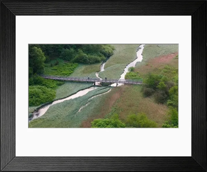 Framed Print : Default Framed Print : Default