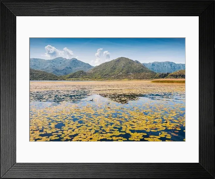 Framed Print : view of the beautiful Skadar Lake Framed Print : view of the beautiful Skadar Lake