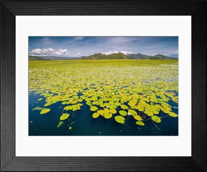 Framed Print : view of the beautiful Skadar Lake Framed Print : view of the beautiful Skadar Lake